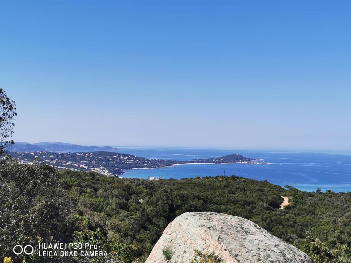 Solsticia * Porticcio (Corsica)